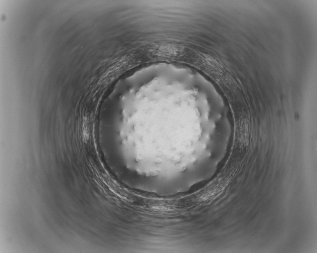 X0000086780962200704131210