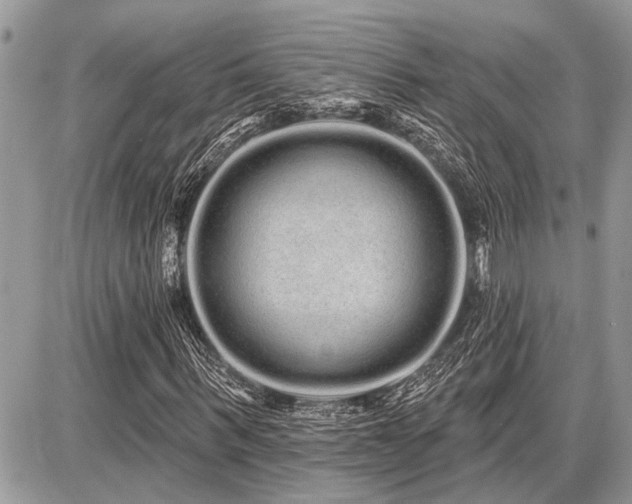 X0000086780963200704131210