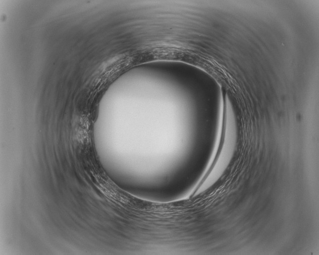 X0000086780964200704131210