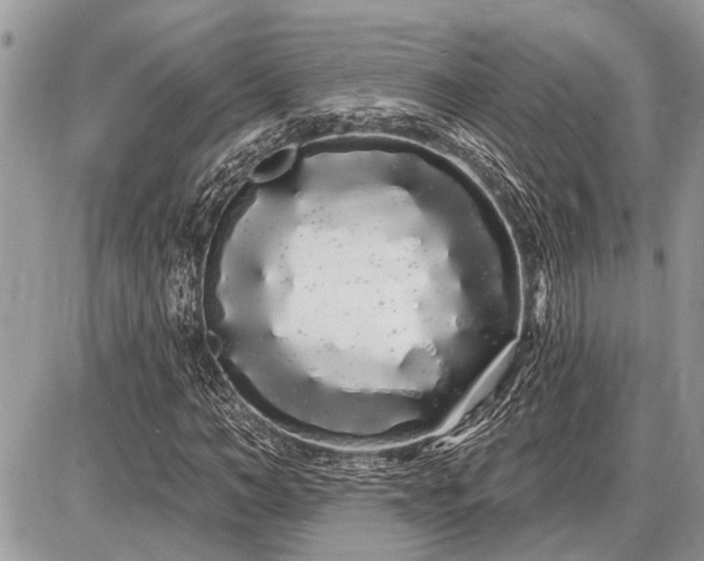 X0000086780966200704131210