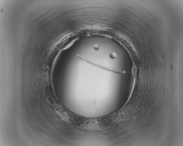 X0000086780968200704131210