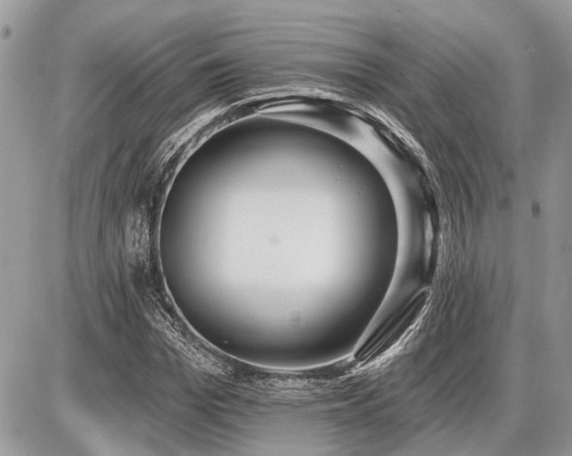 X0000086780969200704131210