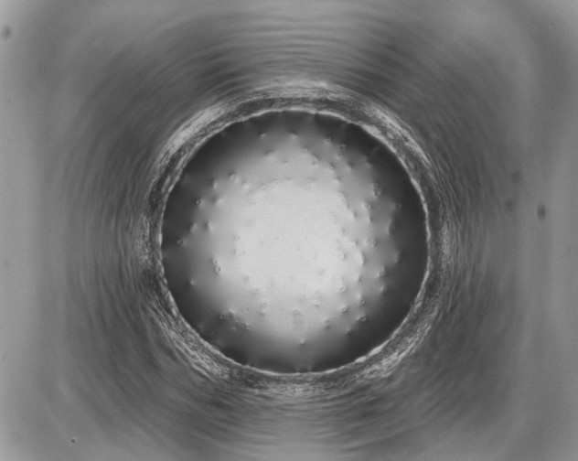 X0000086780970200704131210