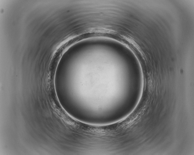 X0000086780971200704131210