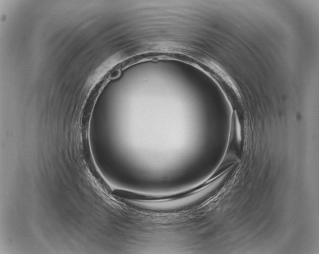 X0000086780972200704131210