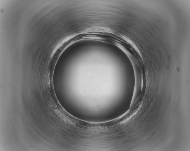 X0000086780973200704131210