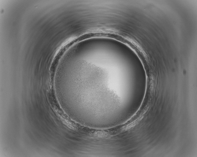 X0000086780974200704131210