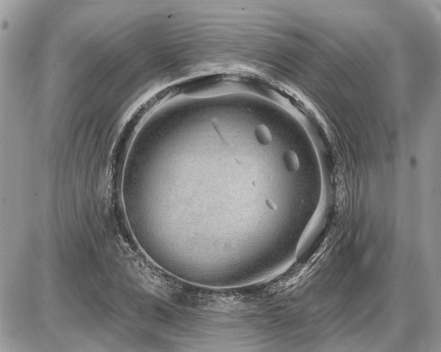 X0000086780975200704131210