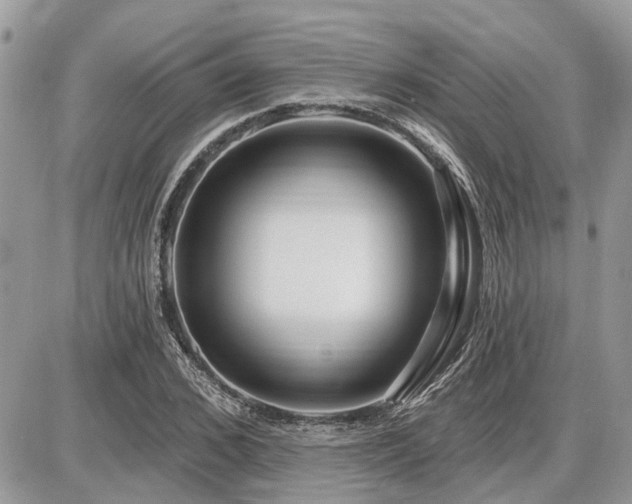 X0000086780976200704131210