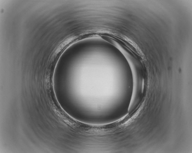 X0000086780977200704131210