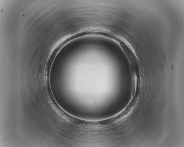 X0000086780981200704131210