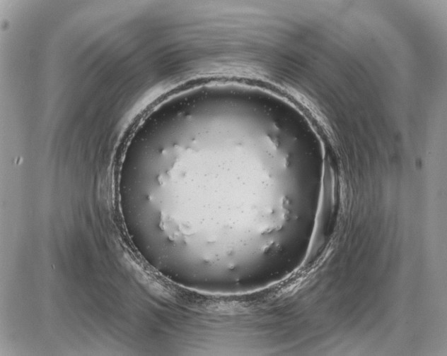 X0000086780982200704131210