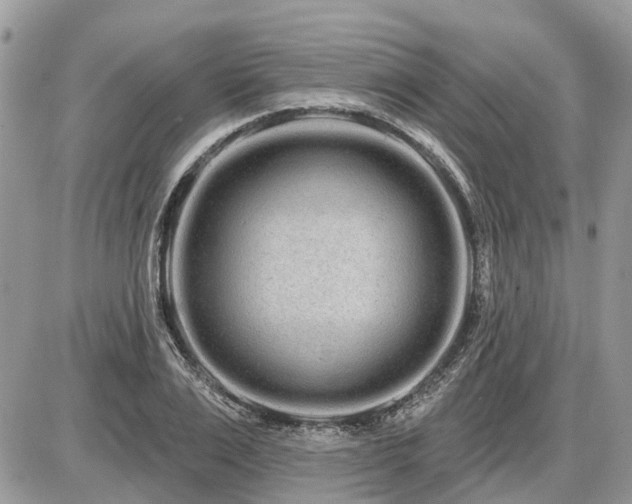 X0000086780983200704131210