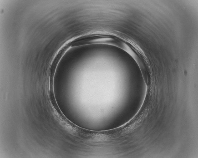 X0000086780984200704131210