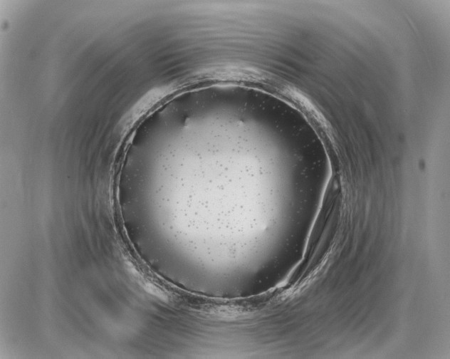 X0000086780986200704131210