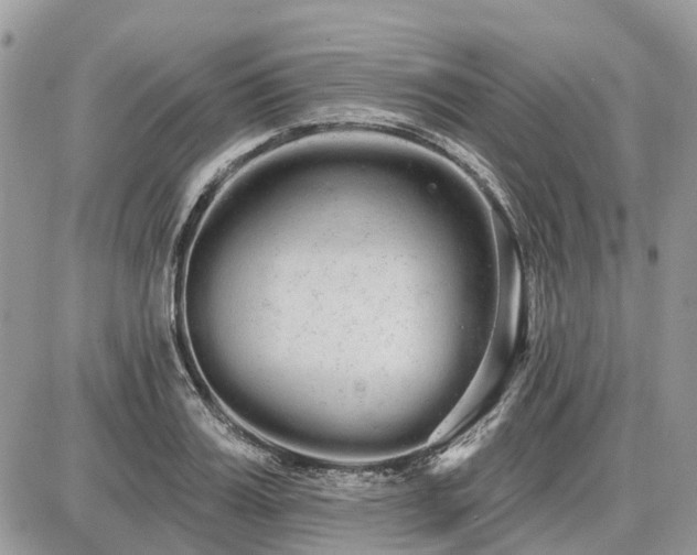 X0000086780987200704131210