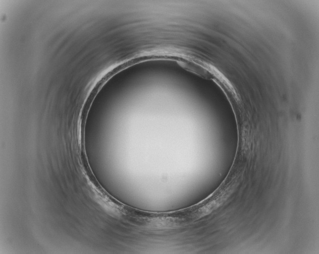 X0000086780988200704131210