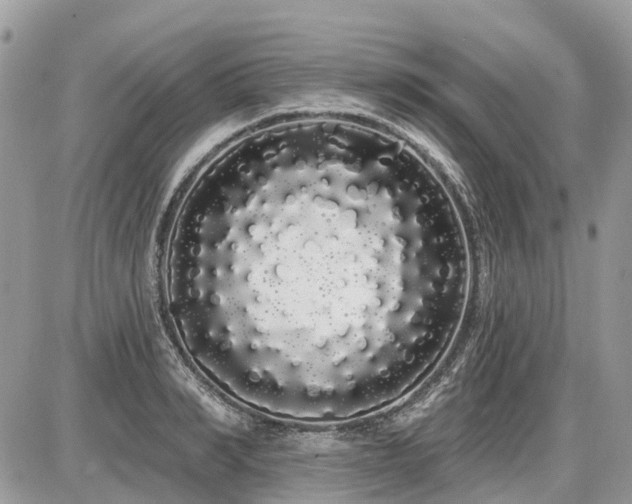 X0000086780990200704131210