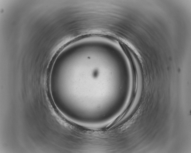 X0000086780991200704131210