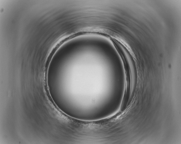 X0000086780992200704131210