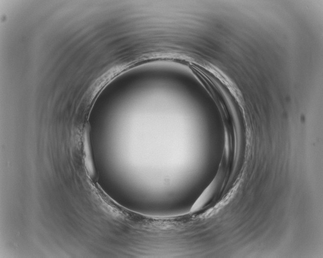 X0000086780993200704131210