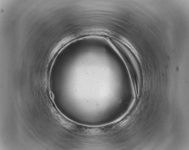 X0000086780994200704131210