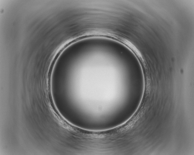 X0000086780996200704131210