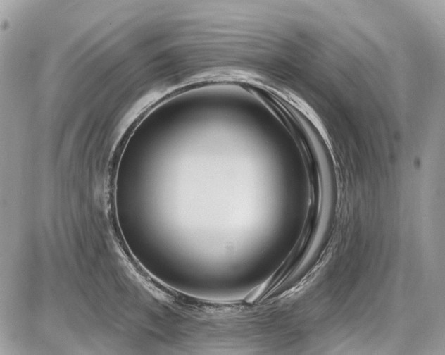 X0000086780997200704131210