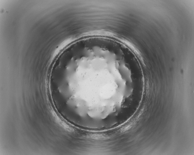 X0000086780998200704131209