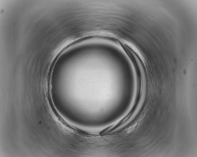 X0000086780999200704131209