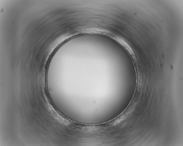 X0000086781000200704131209