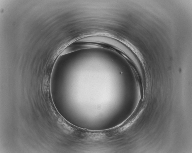 X0000086781001200704131209