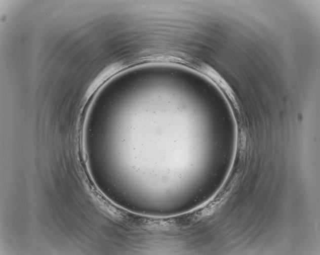 X0000086781002200704131209