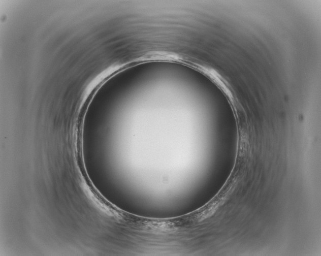 X0000086781003200704131209