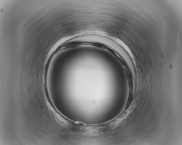 X0000086781005200704131209