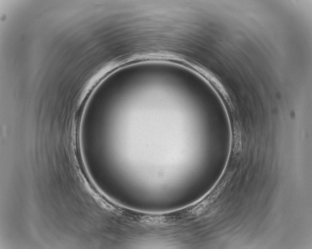 X0000086781006200704131209