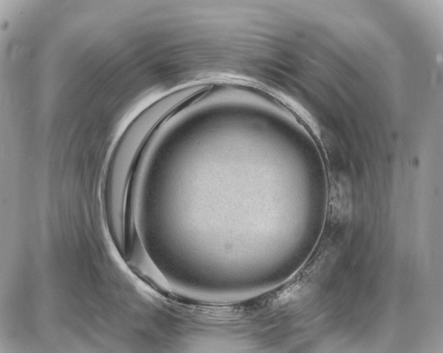 X0000086781007200704131209