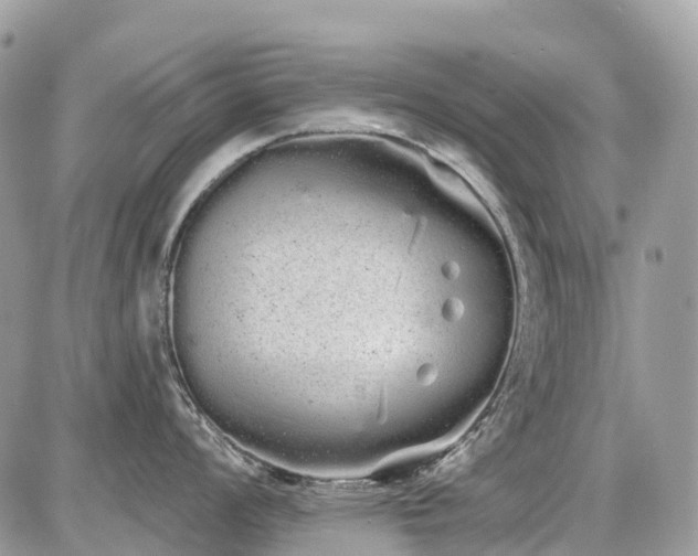 X0000086781008200704131209