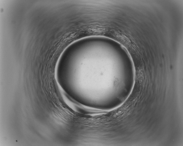 X0000086781009200704131209