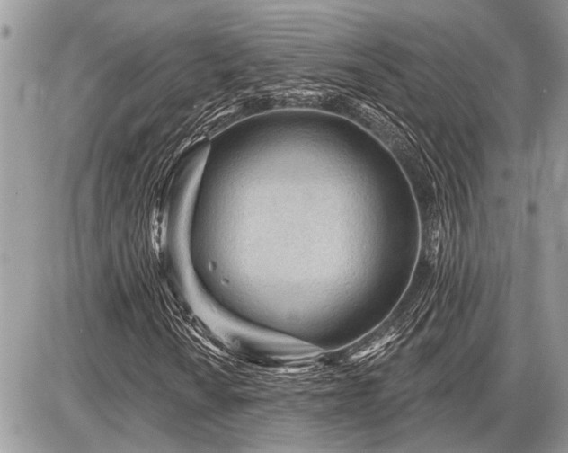 X0000086781010200704131209