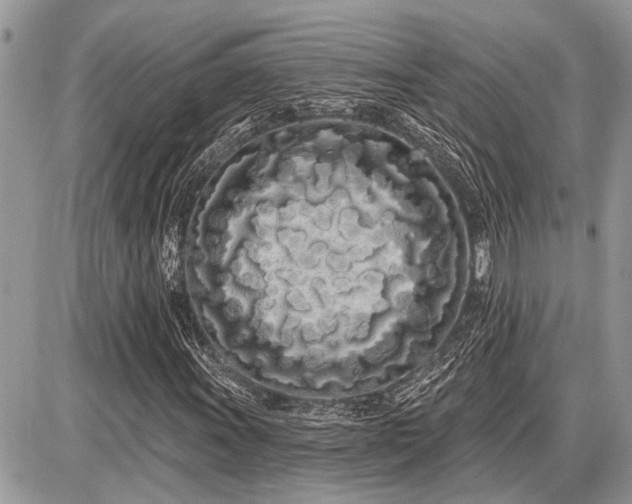 X0000086781011200704131209