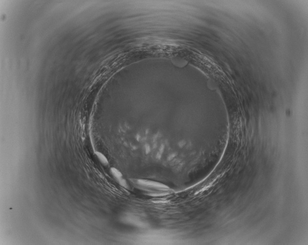 X0000086781013200704131209