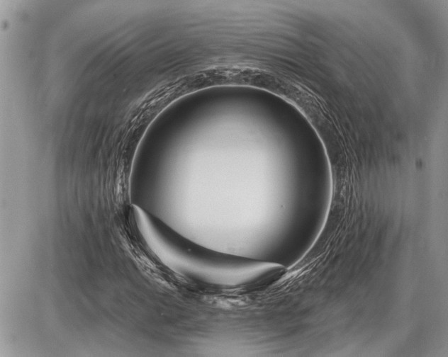 X0000086781014200704131209