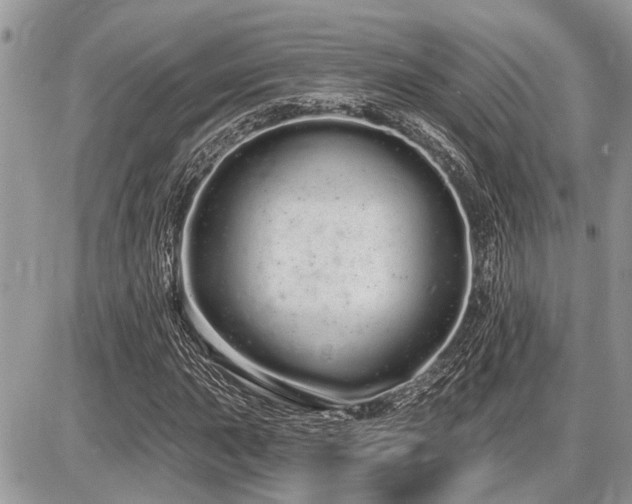 X0000086781015200704131209