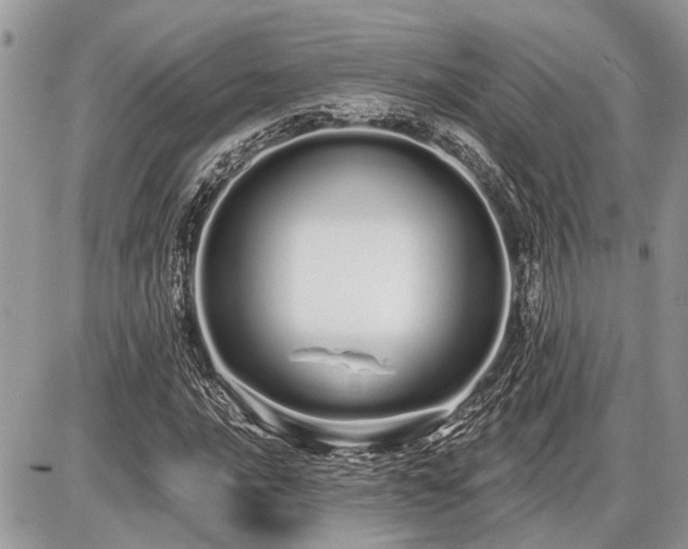 X0000086781016200704131209