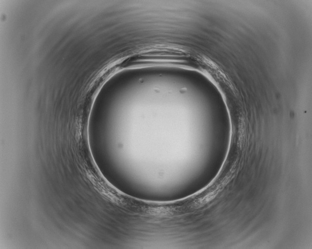 X0000086781017200704131209