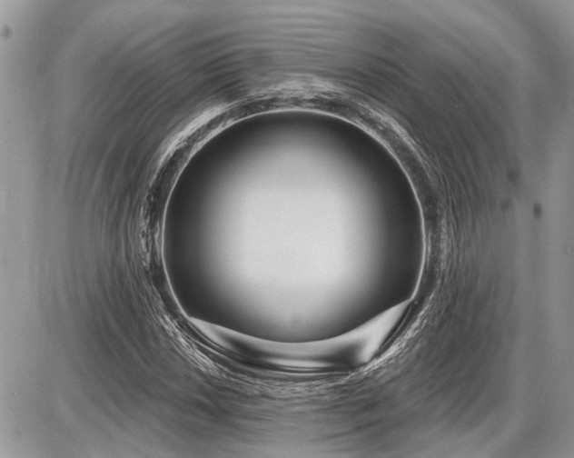 X0000086781018200704131209