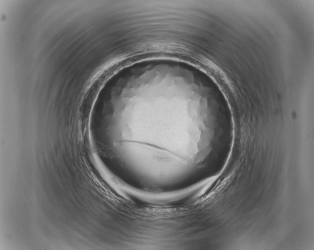 X0000086781019200704131209