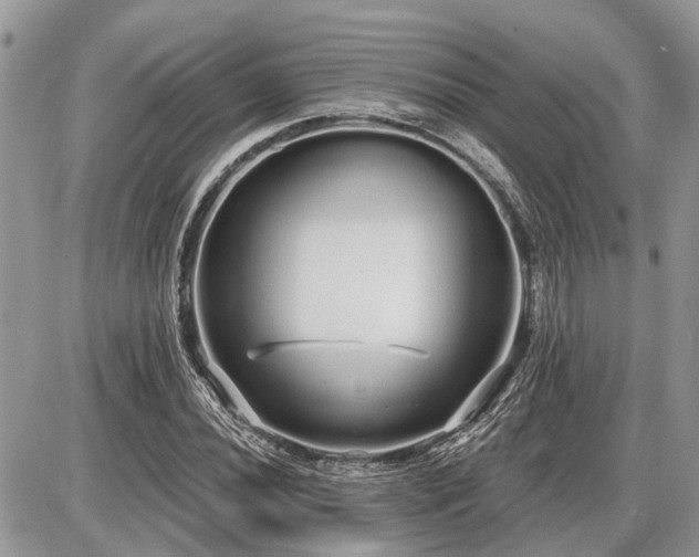 X0000086781020200704131209