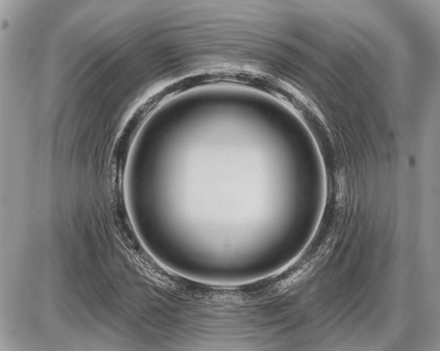 X0000086781021200704131209